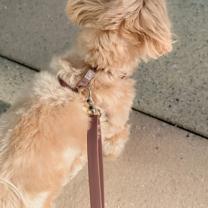 SunnyTails] 防水 ハーネス S/M/L 5色 | モフモフ mof_mof｜北欧