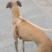 [Pups & Bubs]  セキュリティー ハーネス ベージュ/ブラック