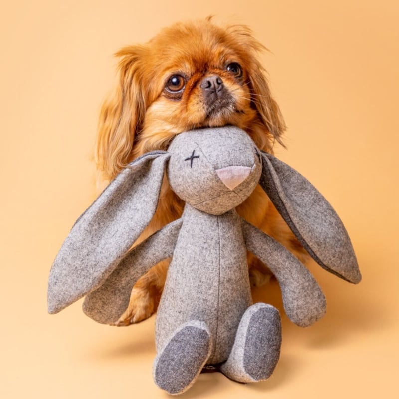 LILLY] うさぎさん | モフモフ mof_mof｜北欧デザインのペットグッズ