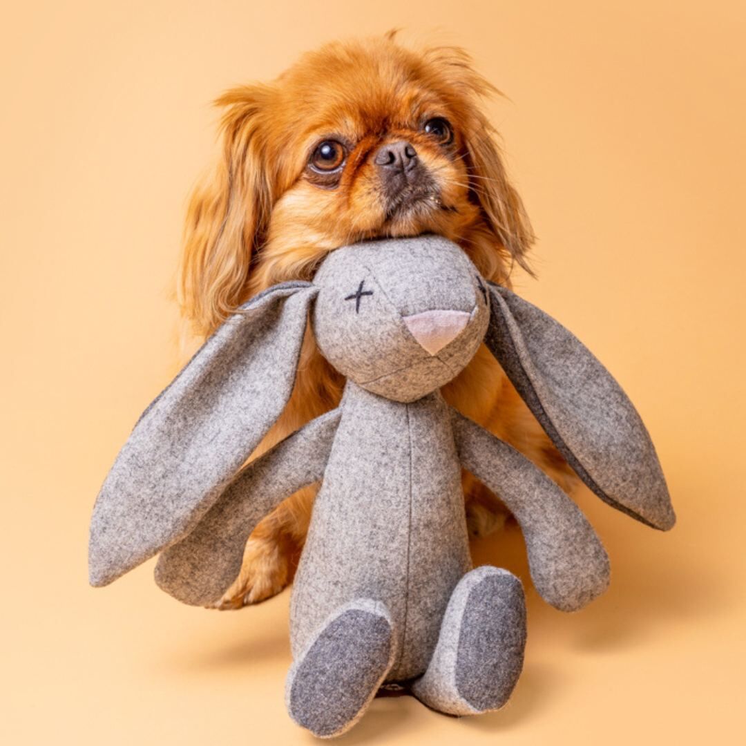 LILLY] うさぎさん | モフモフ mof_mof｜北欧デザインのペットグッズ