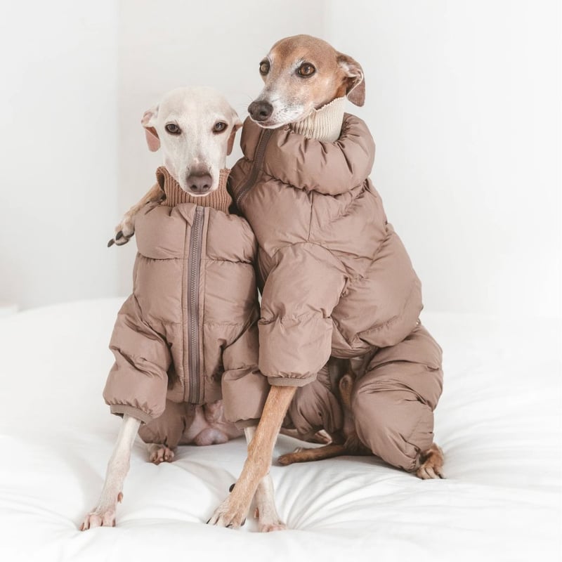 もふもふページ 🌷販売会のお知らせ🌷 お待たせしました😊 今回は、パンチ