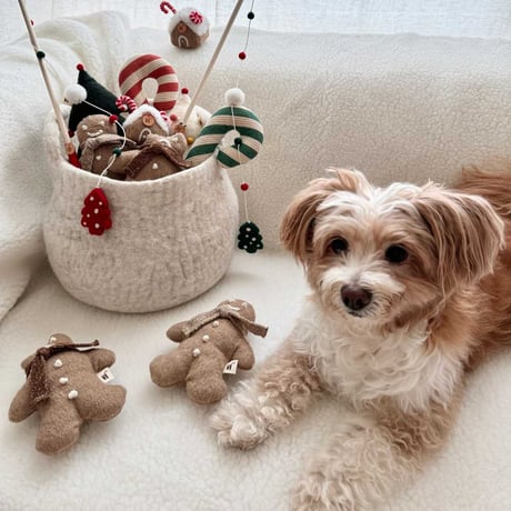 [WET NOSE] ジンジャーマンセット（クリスマス限定）