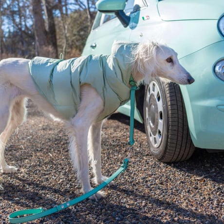 [AXELLE] レザー製 首輪一体型リード 「中大型犬用」