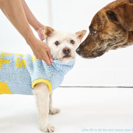 [furryfolks]  Dog Bless You ニット