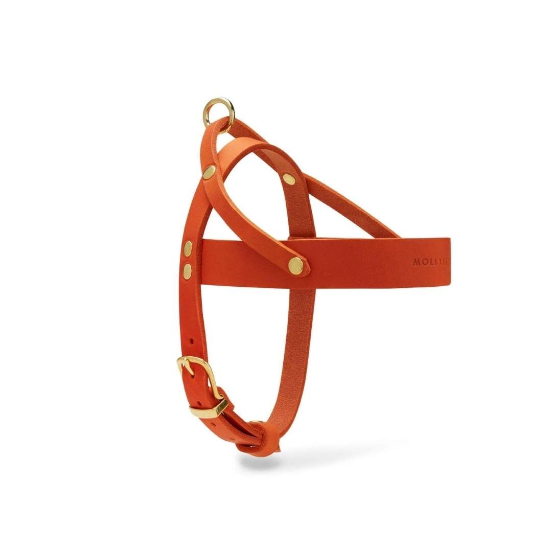 Molly&Stitch] レザーハーネス MANGO XXSからXL | モフモフ mof