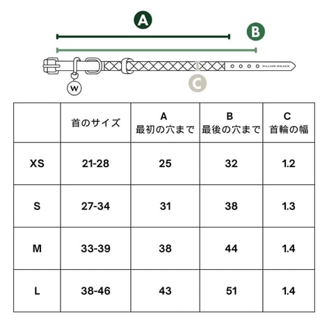 [William Walker] レザーツイスト首輪 サンド/ベビーブルー XSからLまで