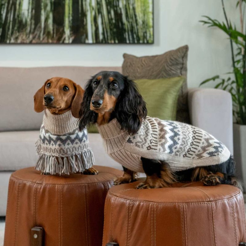 ALQO WASI ] アルパカ ポンチョ ベージュ | モフモフ mof_mof｜北欧デザ