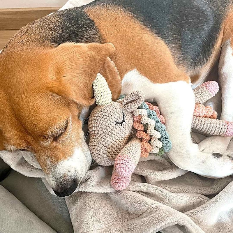 LILLY] ユニコーン オーガニック歯磨きトイ | モフモフ mof_mof｜北欧