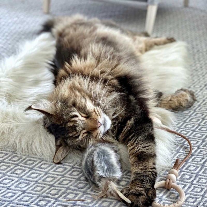 Labbvenn] エコファーブランケット (S) カプチーノ/グレー/ホワイト