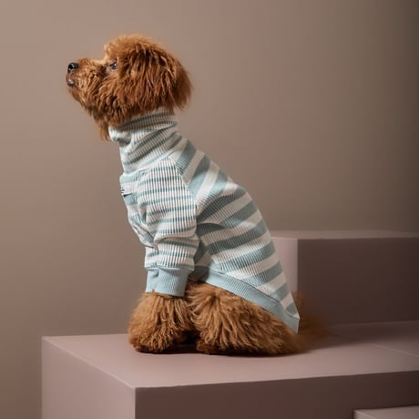 [Striped Dog]  ハイネック リブ ボーダー ２色