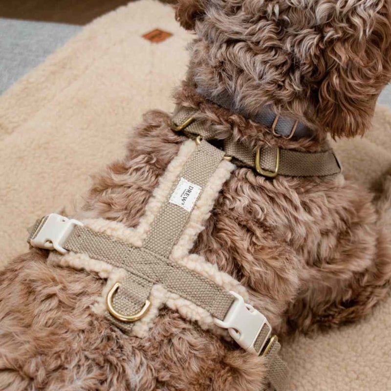 DREW's] テディー ハーネス グレージュ S/M/L | モフモフ mof_mof｜