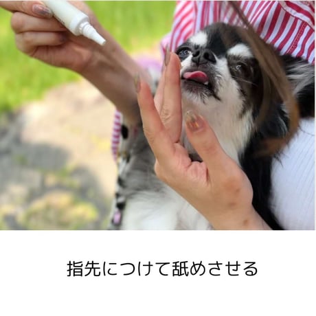 [nanowell] オーラルケア for DOG / for CAT
