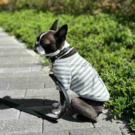 [PET SO CHIC] エッフェル塔 ボーダーTシャツ ベージュ/グレー