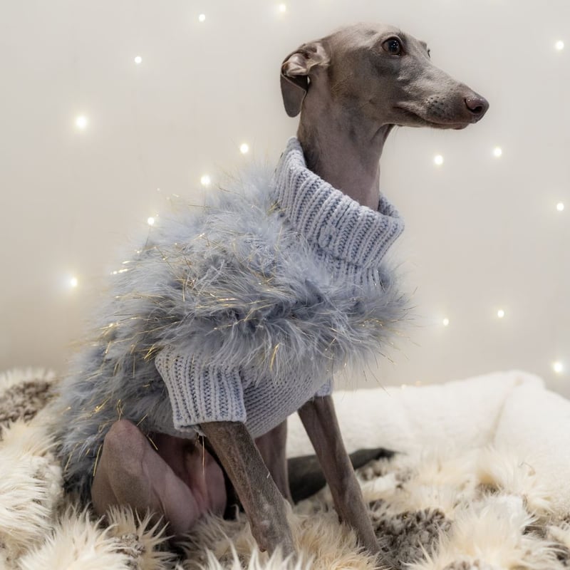 CATEGORY ハイネック | モフモフ mof_mof｜北欧デザインのペットグッズ