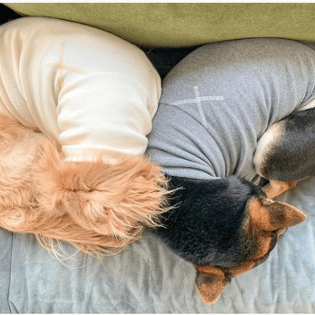 [furryfolks]  High Neck Tee  クリーム