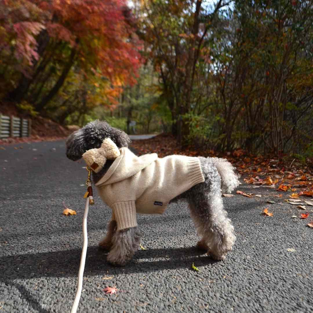 DREW's] テディー ブランケット ベージュ/ グレー | モフモフ mof_mof｜