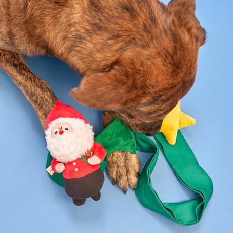 [furryfolks] サンタさん ノーズワーク（クリスマス限定）