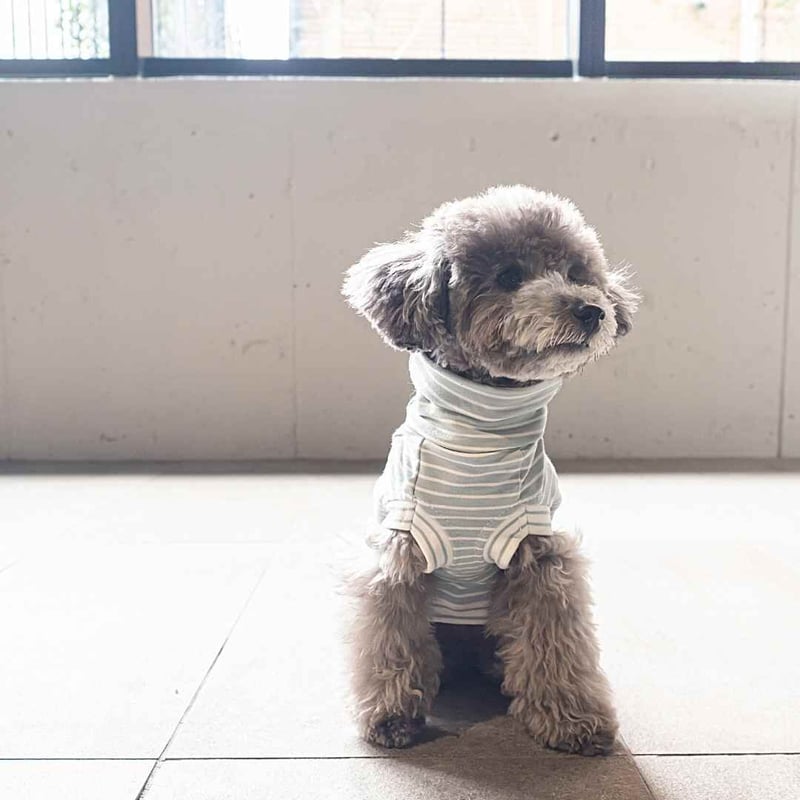 CATEGORY ダックス用 | モフモフ mof_mof｜北欧デザインのペットグッズ