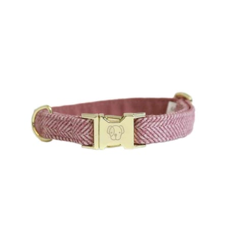 [Kentucky Dogwear]ソフトカラー Beige/Blue/Charcoal/Pink