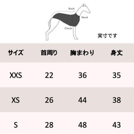 [Striped Dog]  スウェット イタグレ用 クリーム/ブルーグレー