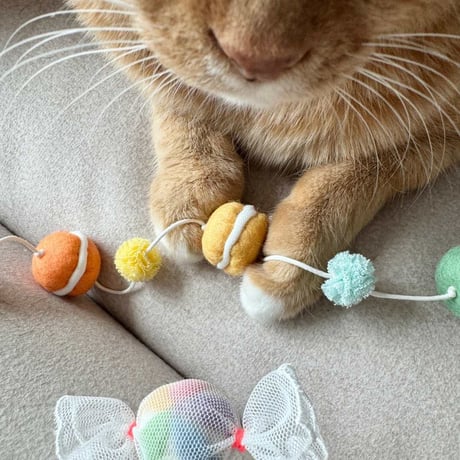 [WET NOSE] キャットトイ ミニマカロン