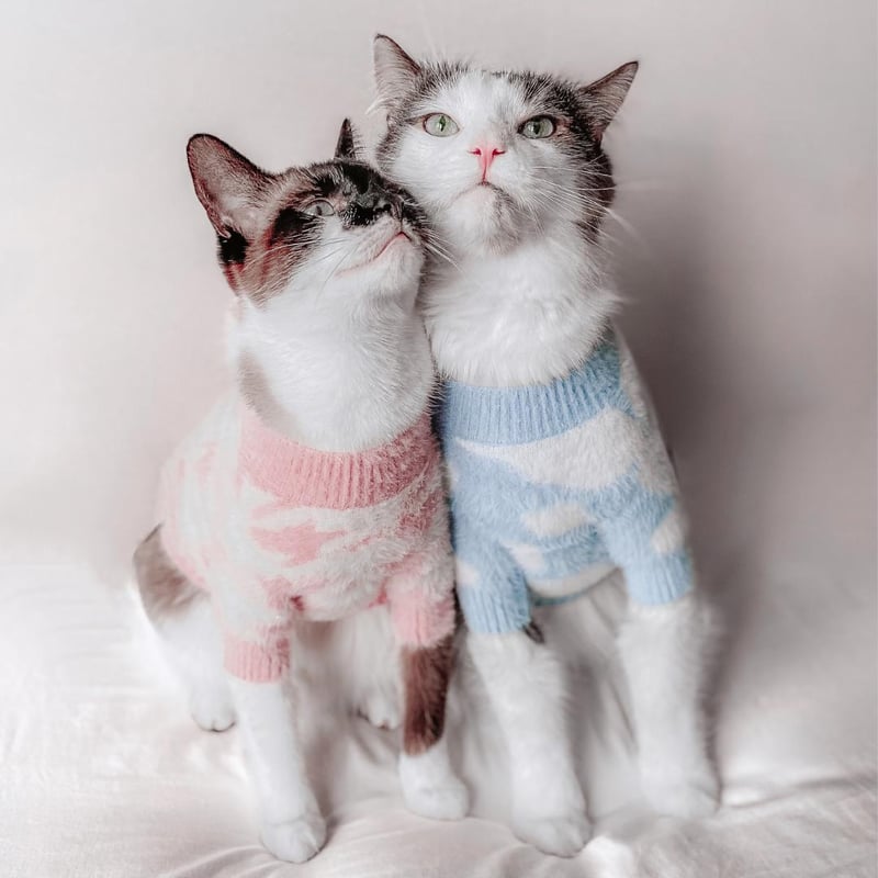 ジプシーブルーのフード付きふわモコダウンベスト／白