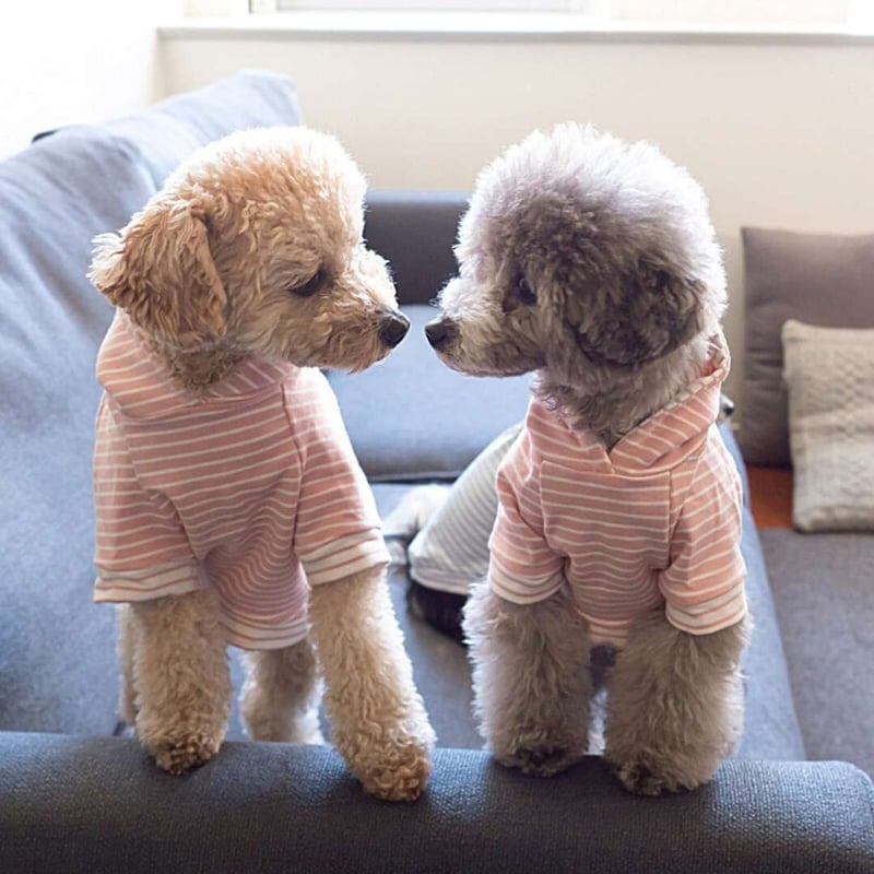 CATEGORY Tシャツ/スエット | モフモフ mof_mof｜北欧デザインのペット