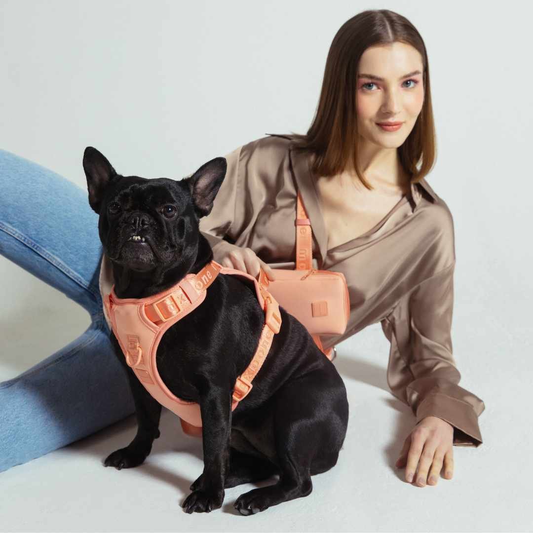 新品】ハーネス/max-bone/ブラックSサイズ/ラグジュアリーブランド