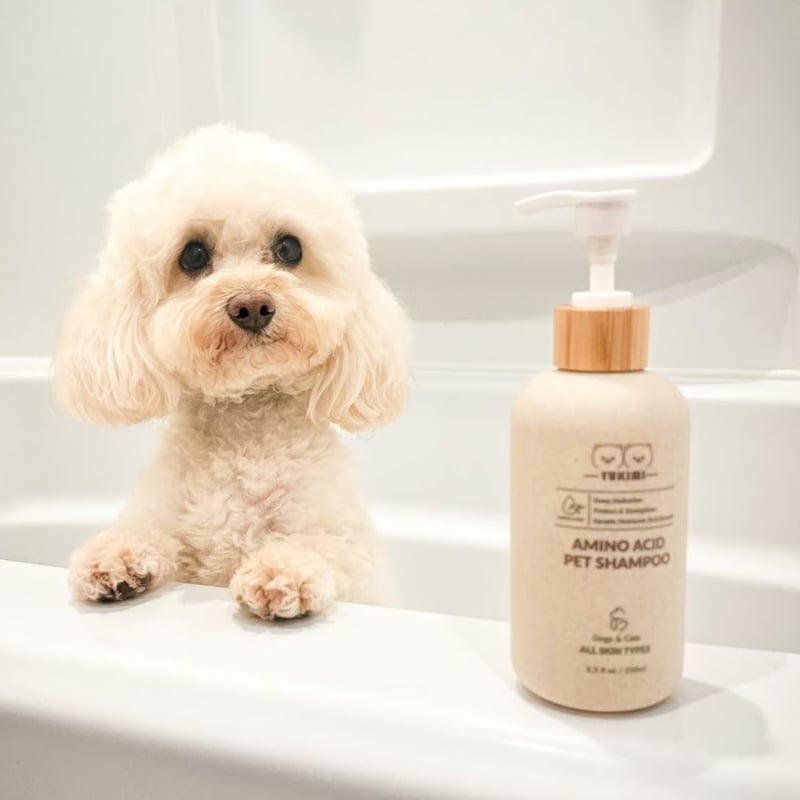 シャンプー **smile** YUKIMI] アミノ酸 ビーガンシャンプー 250ml | モフモフ mof_mof｜北欧