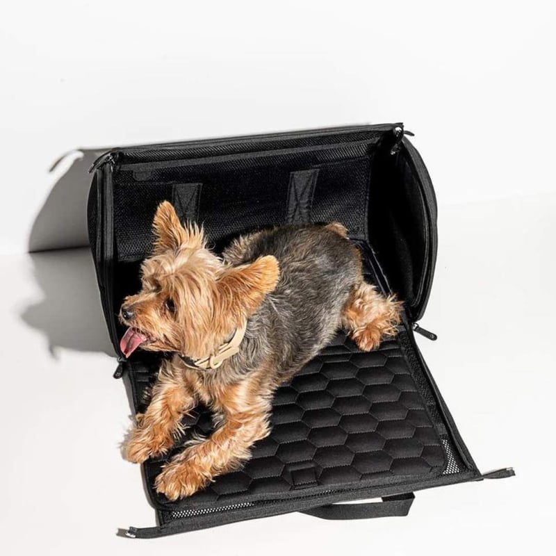 Wild One] トラベルキャリー ヌード/ブラック | モフモフ mof_mof