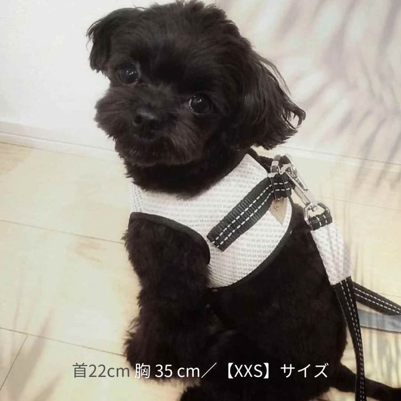 BBR] FUWA ハーネス クリーム | モフモフ mof_mof｜北欧デザインの