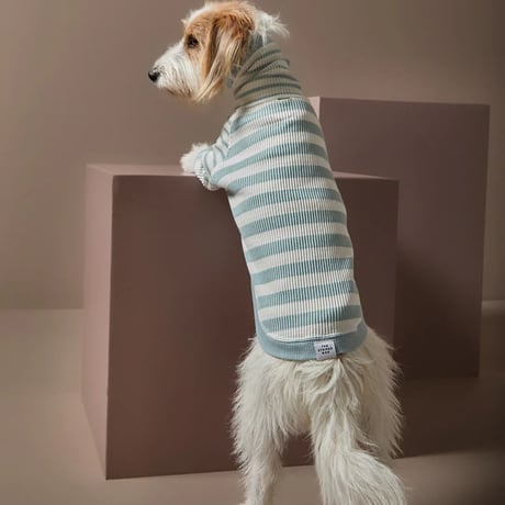 [Striped Dog]  ハイネック リブ ボーダー ２色