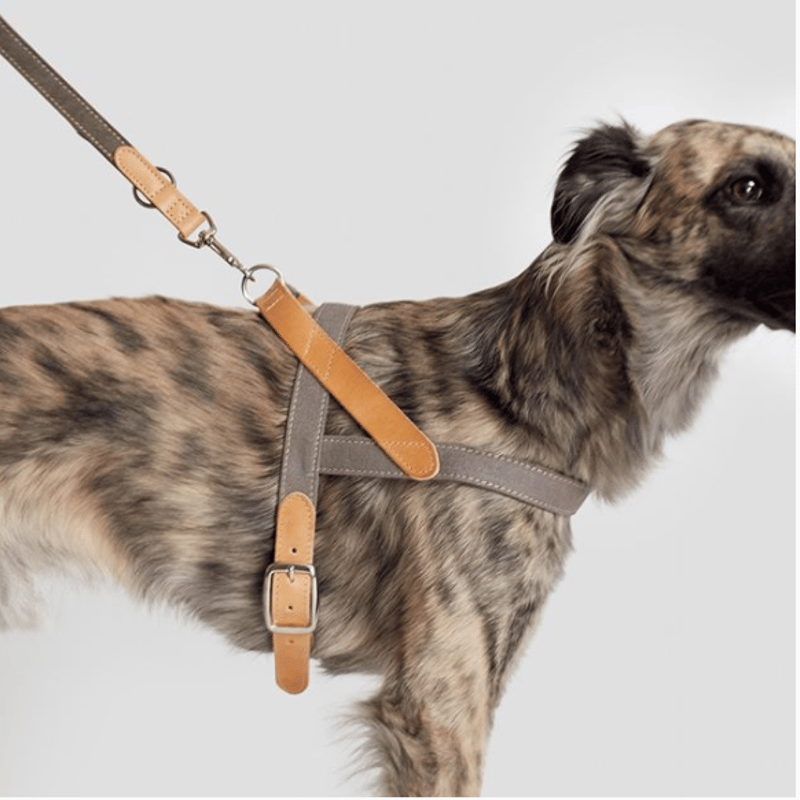 ぬいぐるみハーネス・オーダーページ（1700円〜 Johnny's - 《オーダーページ》ちびぬいハーネスの通販 by ami's shop