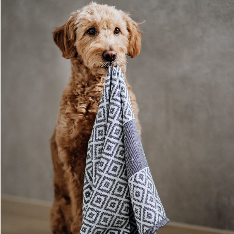 MONCLER 大判タオルブランケット MONCLER 大判タオルブランケット MONCLER 大判タオルブランケット