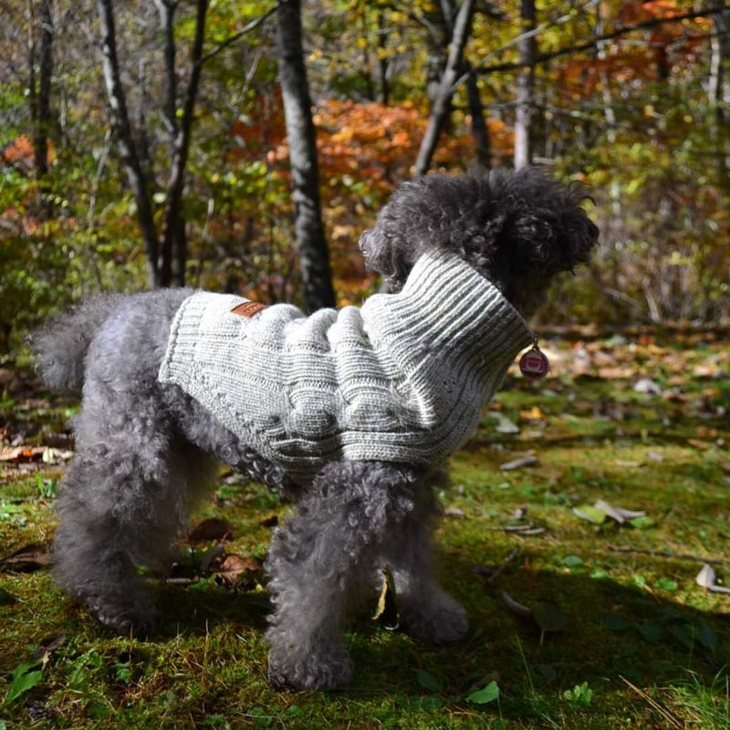 CATEGORY Bowl&Bone Republic | モフモフ mof_mof｜北欧デザ