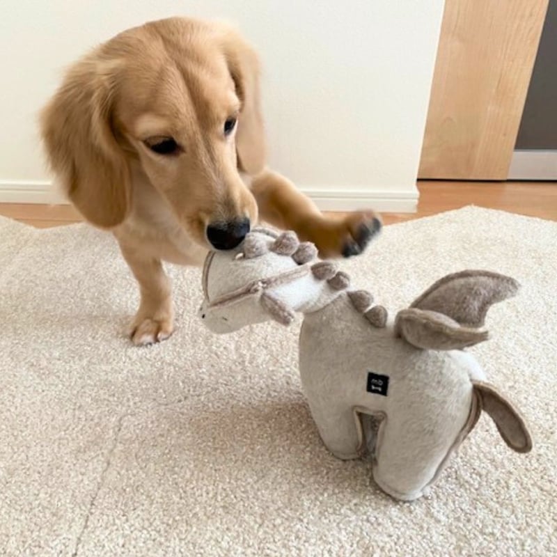 ★ネーミングドラゴン大好評中！包み込むようにお書き致します。プレゼント贈り物に ☆ネーミングドラゴン大好評中！包み込むようにお書き致します