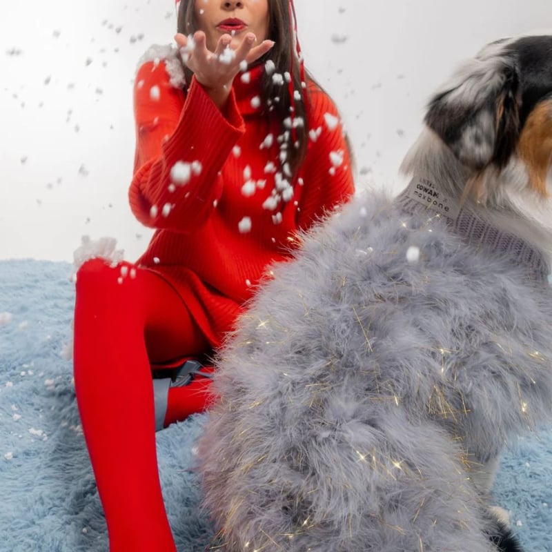 wagwear 赤いフリース犬服 袖付き