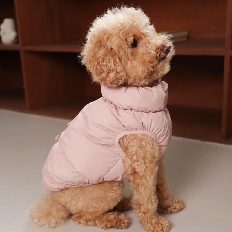 ダックス ホコモモラ2着セット ダッフルコート フーデッドコート ボーダー ダックス ホコモモラ2着セット ダッフルコート フーデッドコート