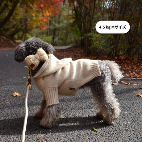 [woolwag]  カシミア フーディー ４色