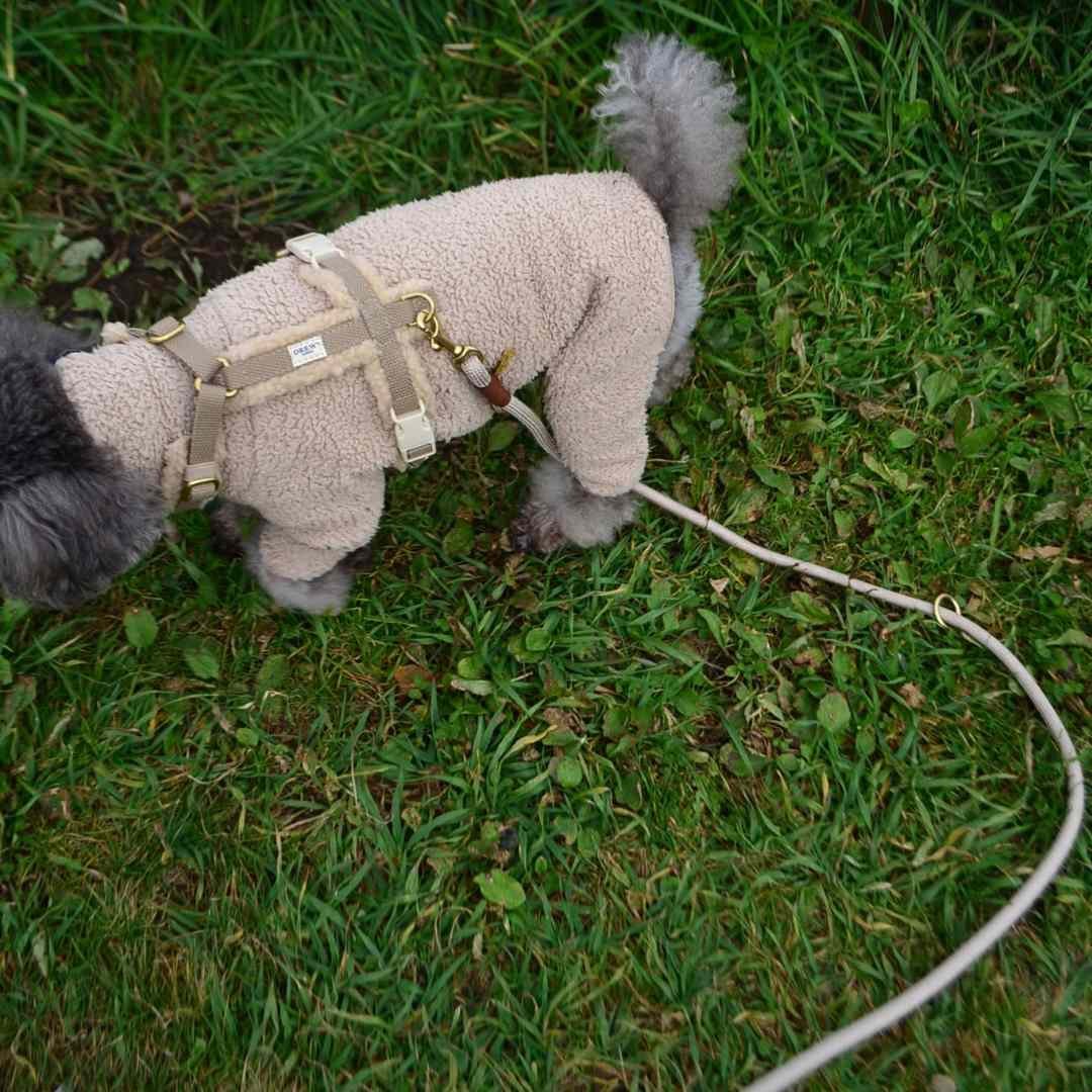 DREW's] テディー ハーネス グレージュ S/M/L | モフモフ mof_mof｜