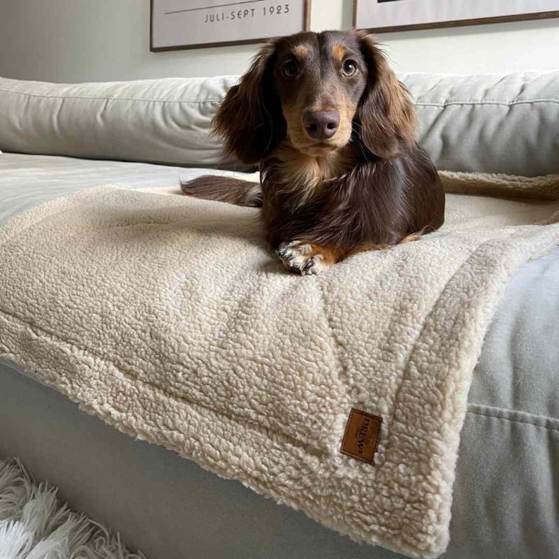 超感謝特価❤みかん＊超レア❤超厚手＊極やわ⭐Wボア☆超特大ブランケット