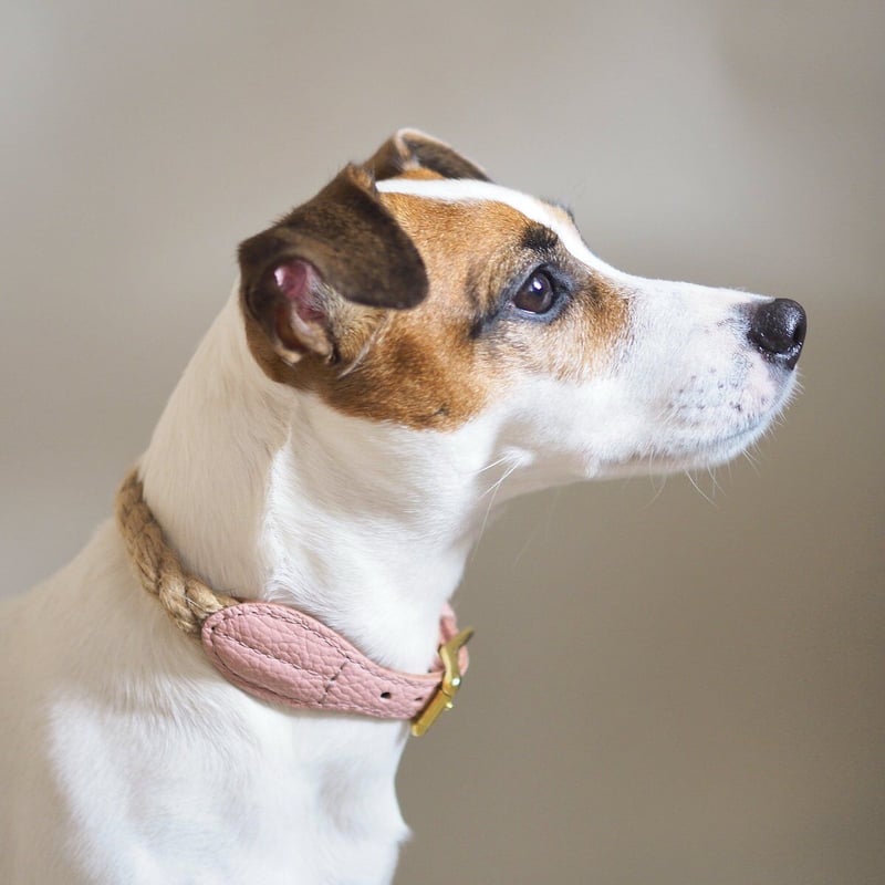 Hunting Pony] 麻ロープ 首輪 グレージュ/ピンク/キャメル | モフモフ