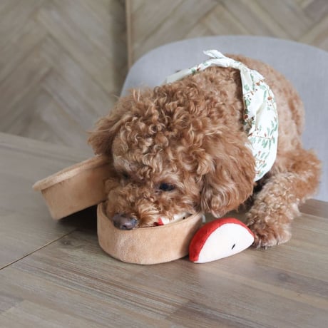 [Pups & Bubs]  アップルパイ ノーズワーク