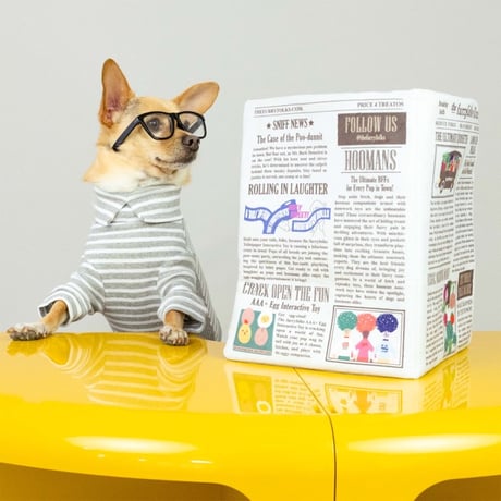 [furryfolks] 英字新聞 ノーズワークマット