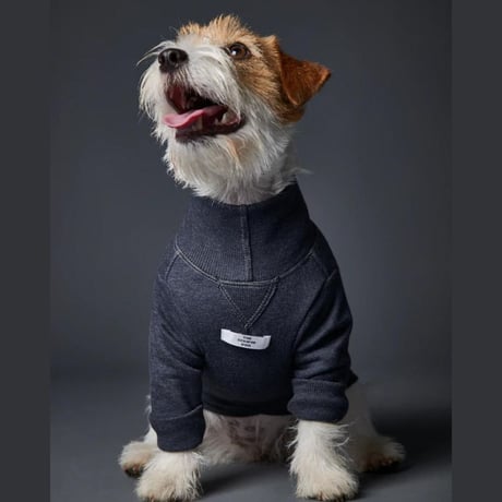 [Striped Dog]  スウェット  クリーム/ブルーグレー