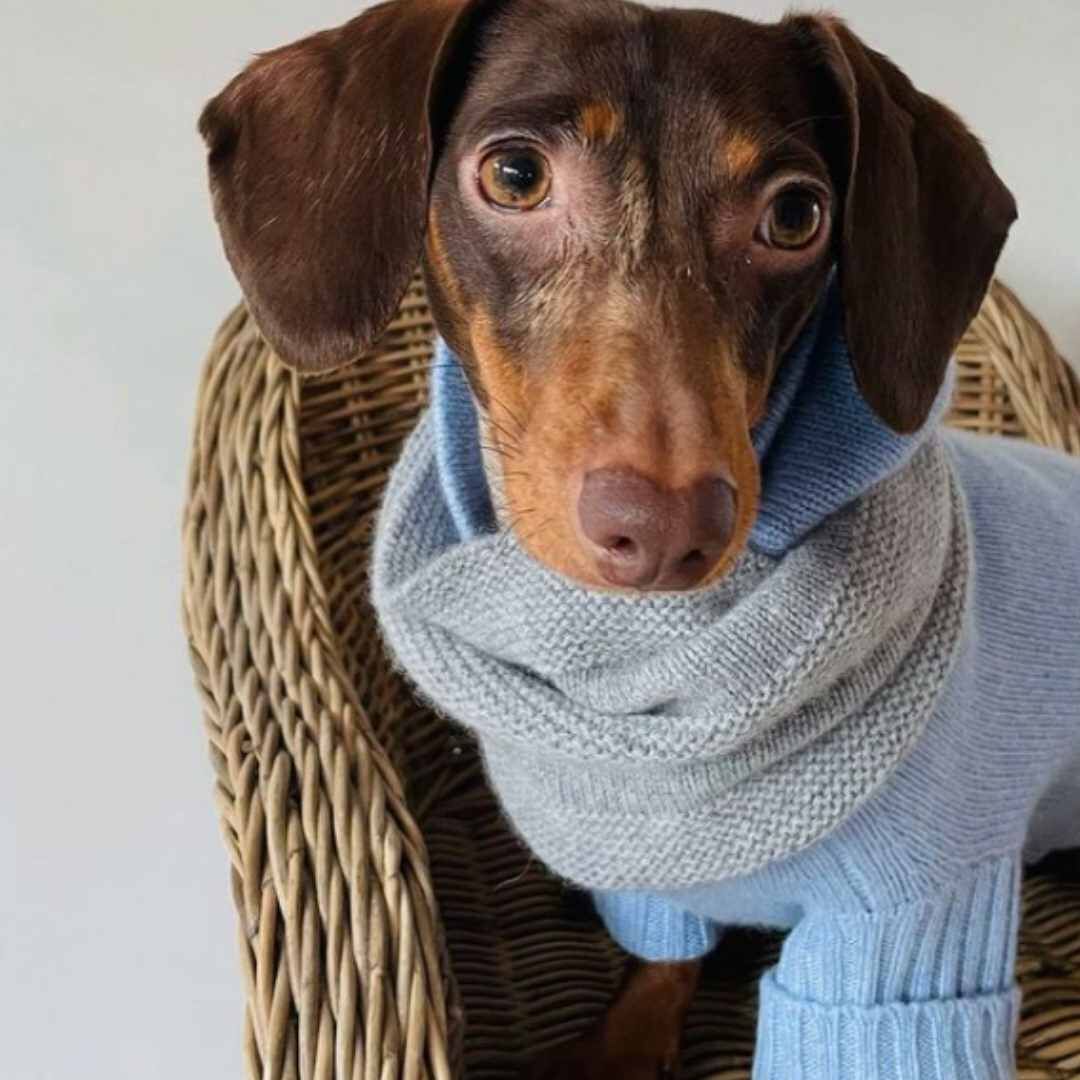 UCHINO カシミア100% グレー色 スヌード UCHINO カシミア100% グレー色 スヌード UCHINO カシミア100