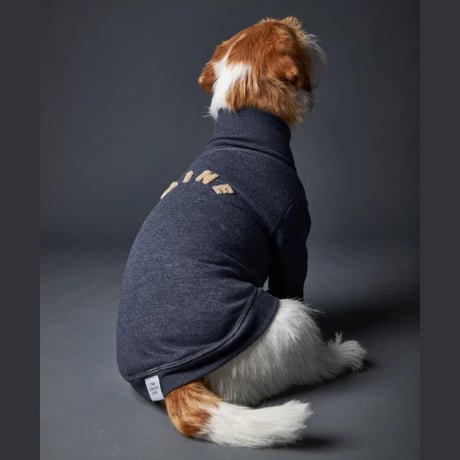 [Striped Dog]  スウェット  クリーム/ブルーグレー