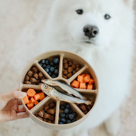 [lambwolf] スリーインワン BENTO スローフィーダー