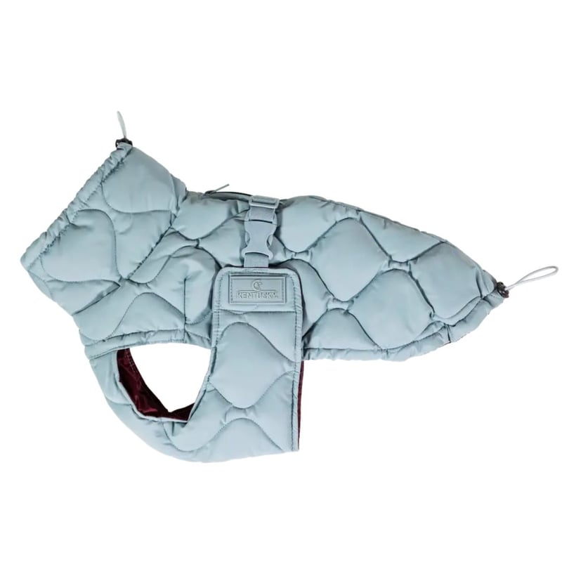 Kentucky Dogwear] 防水ソフトコート くすみブルー | モフモフ mof_m