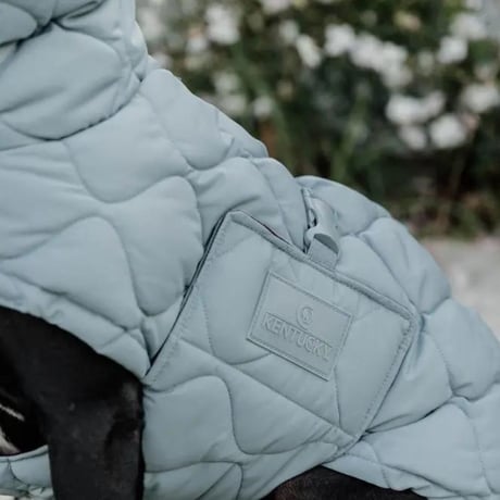 [Kentucky Dogwear] 防水ソフトコート くすみブルー